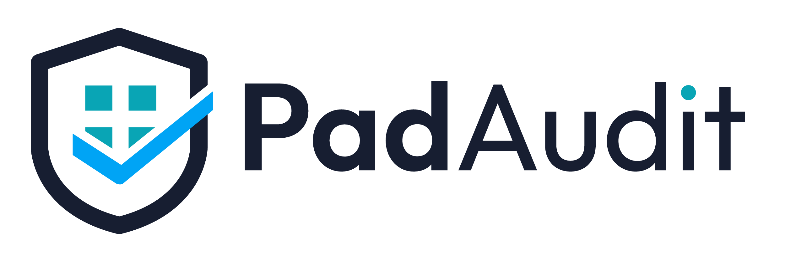 PadAudit Logo